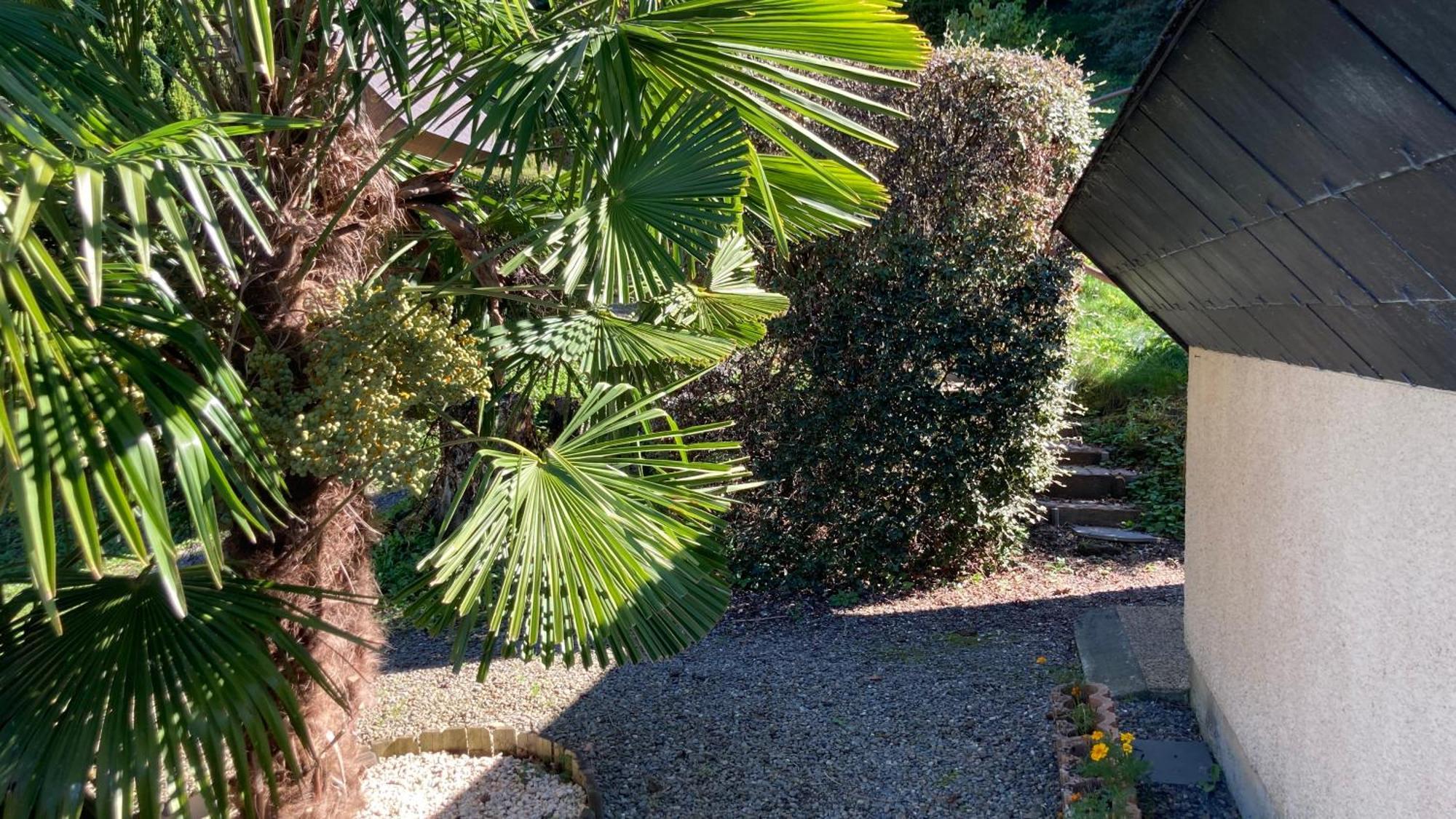 Gites De Stouet Artalens-Souin Extérieur photo